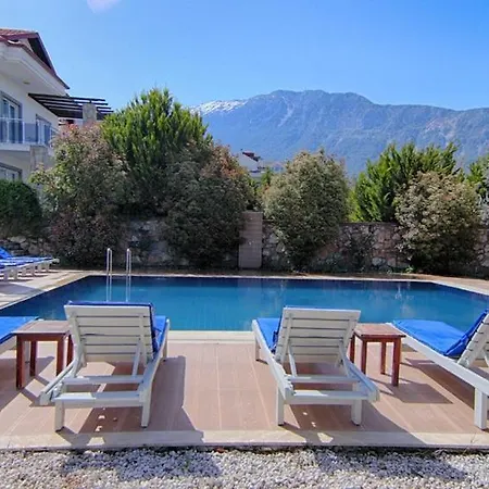 Yildirim 1, Private With 70m2 Pool * Φετιγιέ